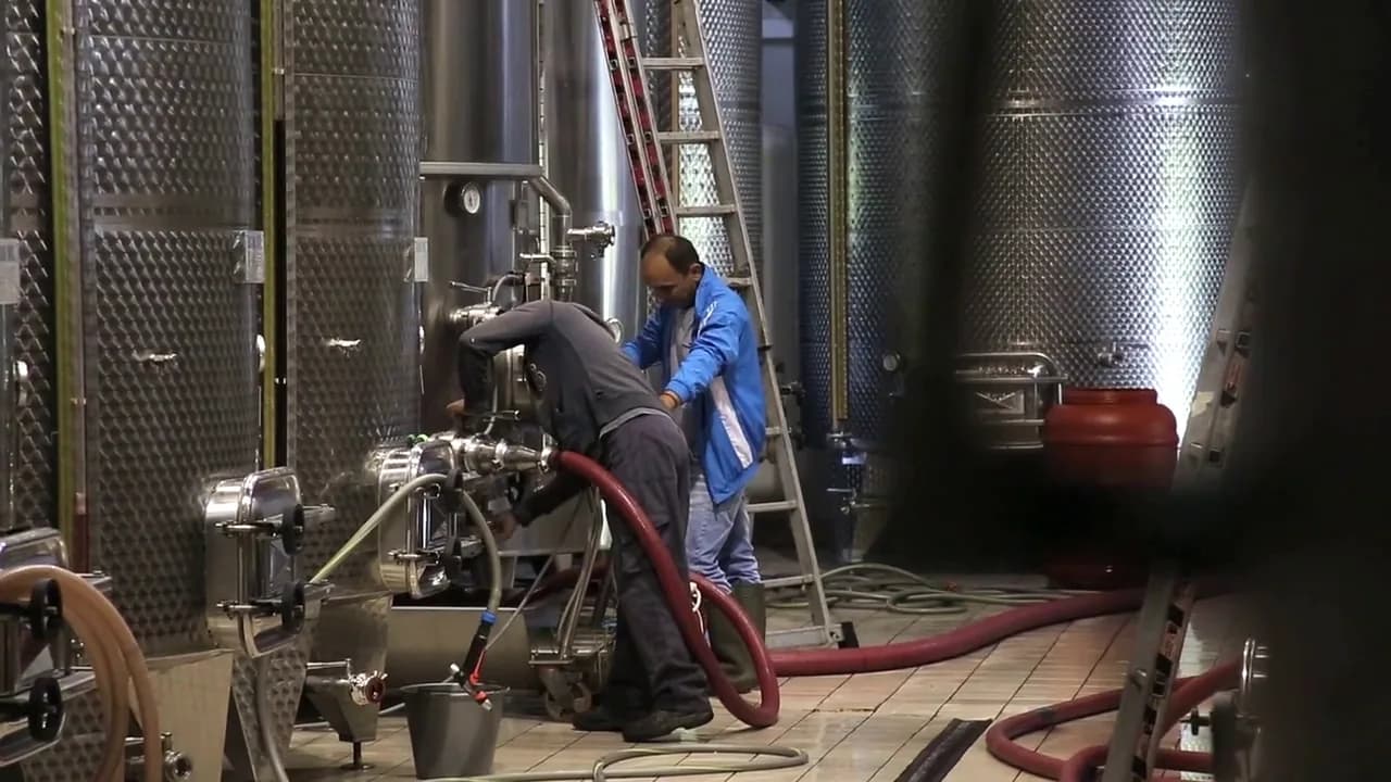 Interno della cantina, fase di produzione
