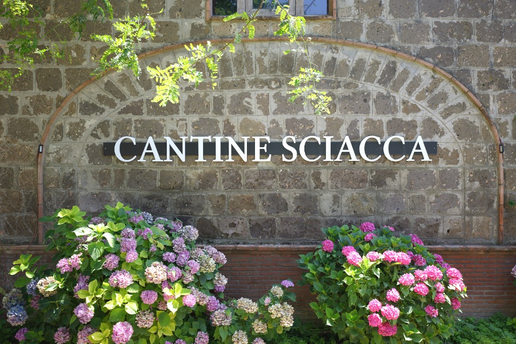 Parete in pietra con un arco e l'insegna Cantine Sciacca, davanti a cespugli di ortensie.
